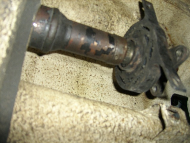 Ssa54282
