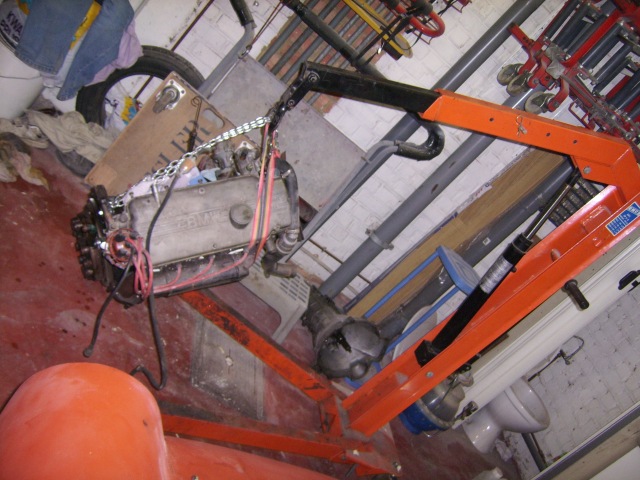 Ssa54181