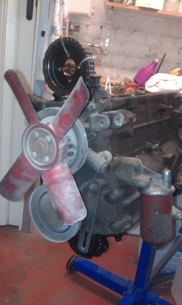 IMAG0228.jpg