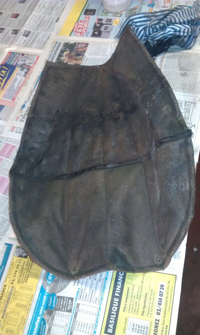 IMAG0675.jpg