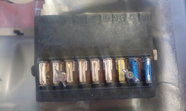 IMAG0637.jpg